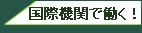 国際機関で働くロシア大